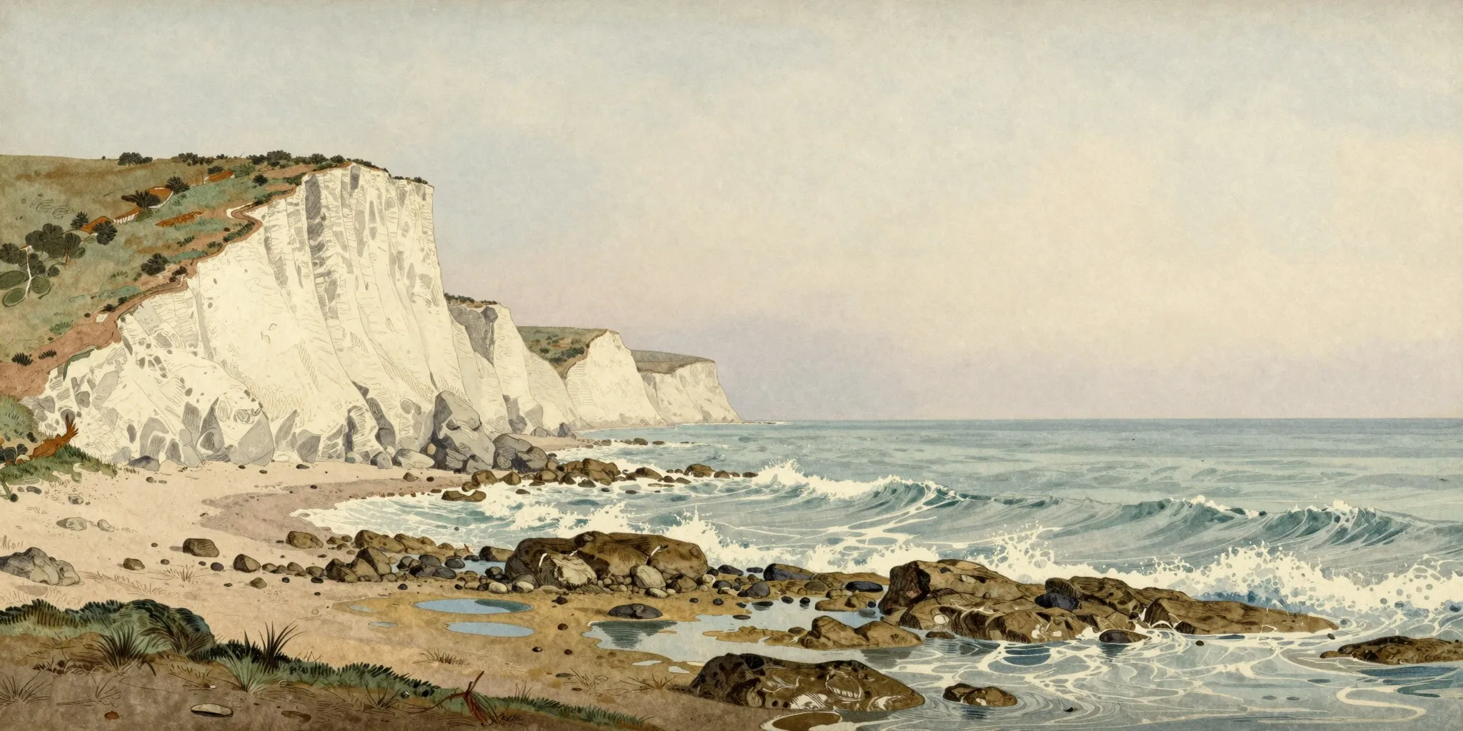 Watercolour of a coastal habitat.