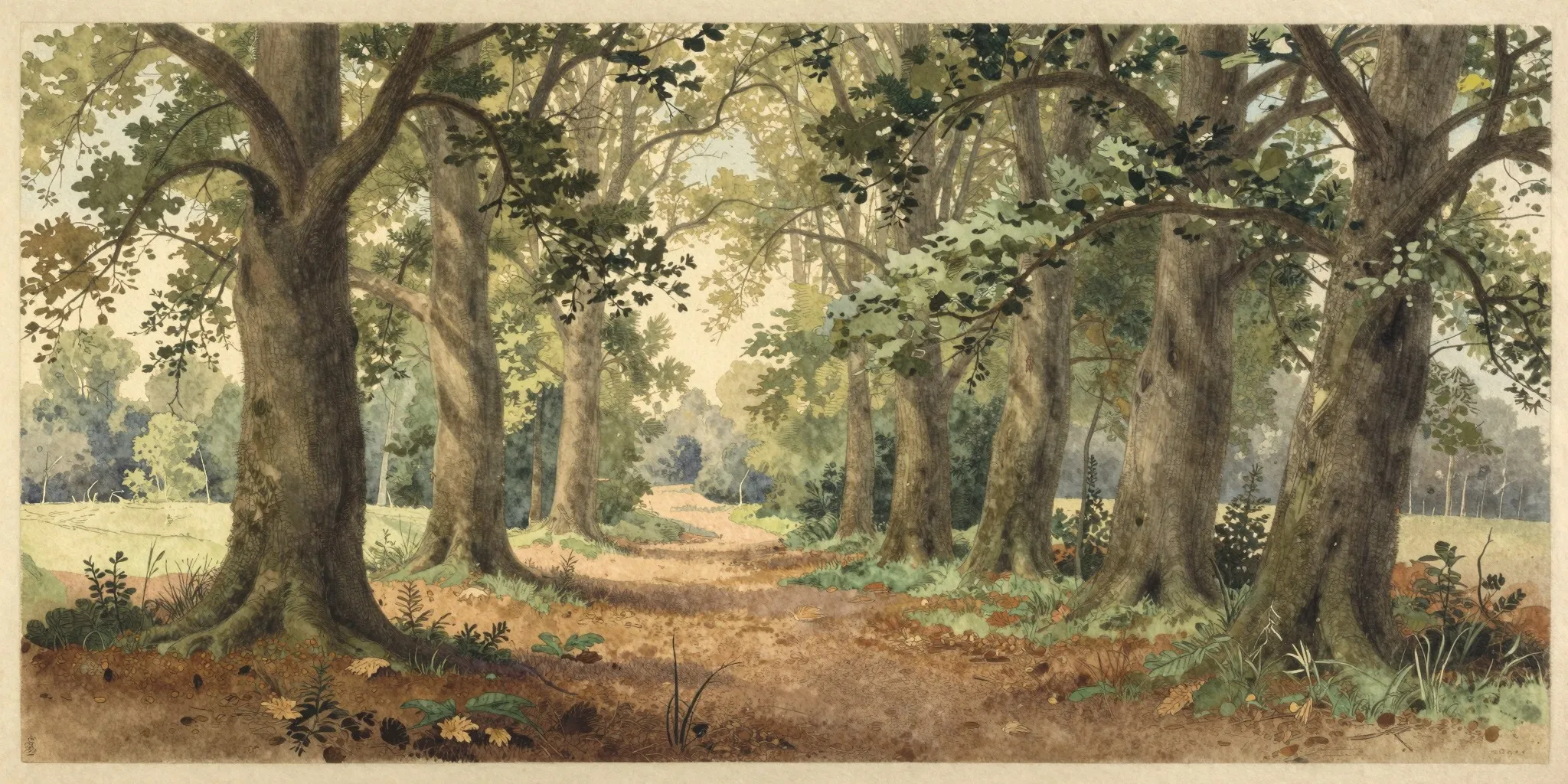 Watercolour of a woodland habitat.
